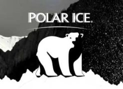 Ð ÐµÐ·ÑÐ»ÑÑÐ°Ñ Ð¿Ð¾ÑÑÐºÑ Ð·Ð¾Ð±ÑÐ°Ð¶ÐµÐ½Ñ Ð·Ð° Ð·Ð°Ð¿Ð¸ÑÐ¾Ð¼ "polar bears logo"