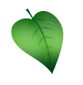 Рисуем красивый логотип «Зелёный Лист» используя Фотошоп