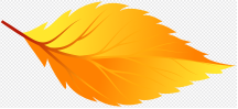 Цвет осенних листьев Желтый, осенние листья, лист, кленовый лист, оранжевый  png | PNGWing