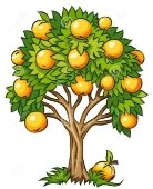 D:\подготовка в 1 клас\конспекти уроків\математика\белочки\fruit-tree-clipart-fruit-tree-isolated-25915852.jpg