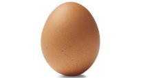 silo-brown-egg