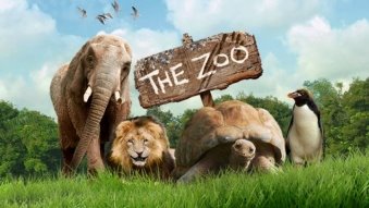 the_zoo_who_are_you_quiz_index_new