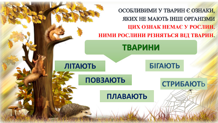  ОСОБЛИВИМИ У ТВАРИН Є ОЗНАКИ, ЯКИХ НЕ МАЮТЬ ІНШІ ОРГАНІЗМИЦИХ ОЗНАК НЕМАЄ У РОСЛИН. НИМИ РОСЛИНИ РІЗНЯТЬСЯ ВІД ТВАРИН. ЛІТАЮТЬТВАРИНИ ПОВЗАЮТЬПЛАВАЮТЬБІГАЮТЬСТРИБАЮТЬ