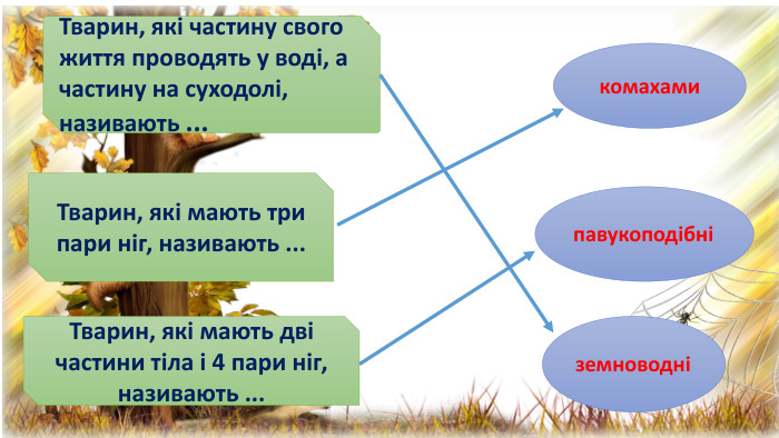 комахамипавукоподібні земноводніТварин, які частину свого життя проводять у воді, а частину на суходолі, називають ... Тварин, які мають три пари ніг, називають ... Тварин, які мають дві частини тіла і 4 пари ніг, називають ... 