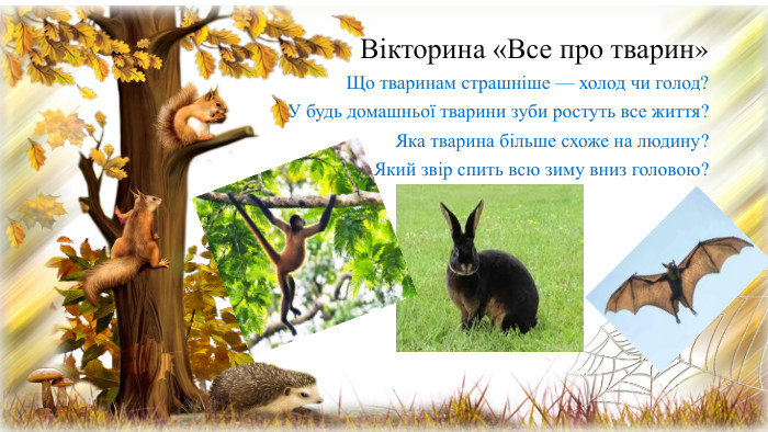 Вікторина «Все про тварин» Що тваринам страшніше — холод чи голод? У будь домашньої тварини зуби ростуть все життя?Яка тварина більше схоже на людину?Який звір спить всю зиму вниз головою?