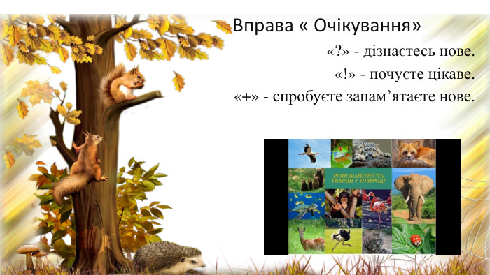  Вправа « Очікування» «?» - дізнаєтесь нове.«!» - почуєте цікаве.«+» - спробуєте запам’ятаєте нове.
