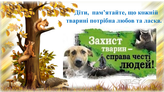  Діти, пам’ятайте, що кожній тварині потрібна любов та ласка. 