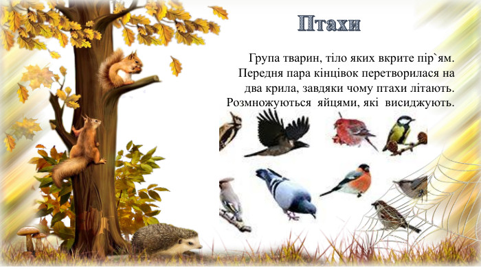 Група тварин, тіло яких вкрите пір`ям. Передня пара кінцівок перетворилася на два крила, завдяки чому птахи літають. Розмножуються яйцями, які висиджують. Птахи