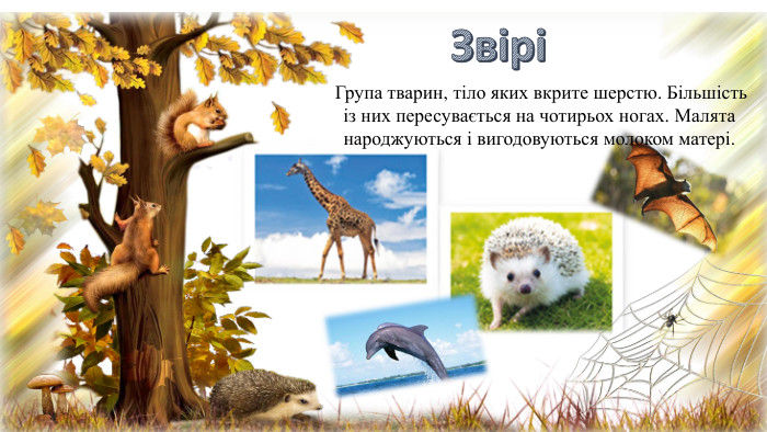 Звірі Група тварин, тіло яких вкрите шерстю. Більшість із них пересувається на чотирьох ногах. Малята народжуються і вигодовуються молоком матері.