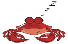 depositphotos_166790392-stock-photo-cute-red-crab.jpg