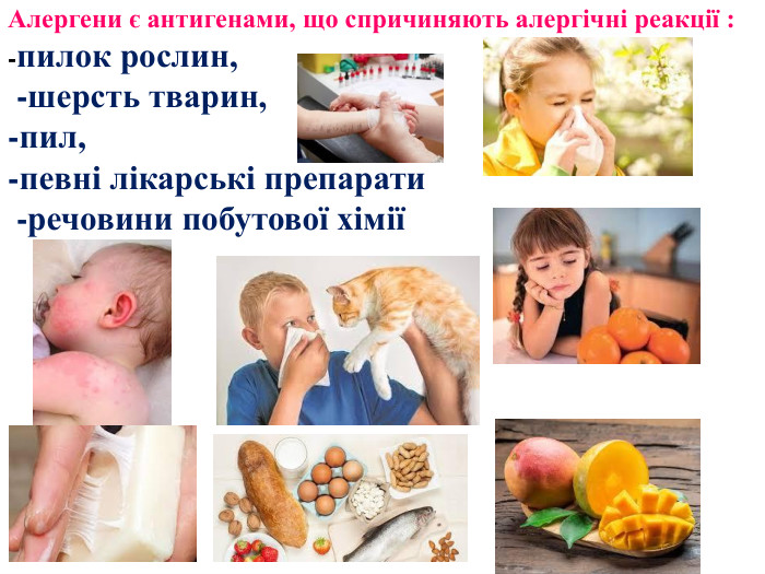 Алергени є антигенами, що спричиняють алергічні реакції : -пилок рослин, -шерсть тварин, -пил, -певні лікарські препарати -речовини побутової хімії 