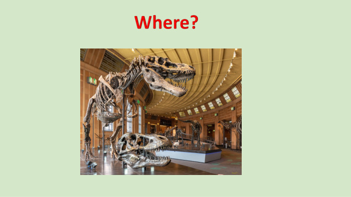 Where?