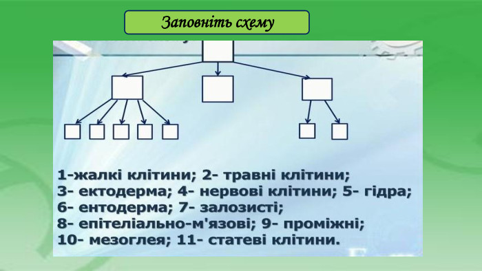 Заповніть схему