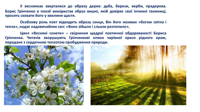 	У веснянках зверталися до образу дерев: дуба, берези, верби, прадерева. Борис Грінченко в поезії використав образ вишні, якій довіряє свої інтимні таємниці, просить сховати його у хвилини щастя.	Особливу роль поет відводить образу сонця, Він його називає «богом світла і тепла», надає надзвичайних сил: «Воно зійшло і сльози розтопило».	Цикл «Весняні сонети» – свідчення щедрої поетичної обдарованості Бориса Грінченка. Читачів зворушують Грінченкові описи чарівної краси рідного краю, передане з сердечною теплотою пробудження природи. 