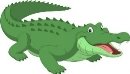 Картинки по запросу "крокодил картинки для дітей"