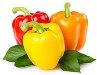 Болгарский перец – описание и сорта, состав и калорийность, польза и  применение перца