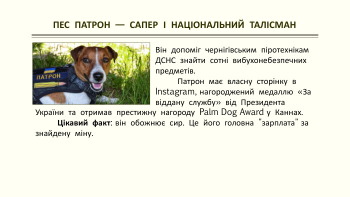 ПЕС ПАТРОН — САПЕР І НАЦІОНАЛЬНИЙ ТАЛІСМАН України та отримав престижну нагороду Palm Dog Award у Каннах. Цікавий факт: він обожнює сир. Це його головна 