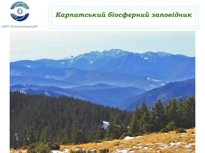 Карпатський біосферний заповідник 