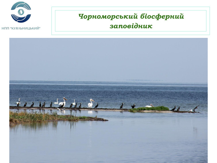 Чорноморський біосферний заповідник 