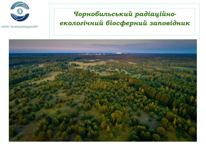 Чорнобильський радіаційно-екологічний біосферний заповідник