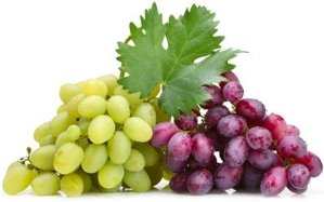 Картинки по запросу виноград