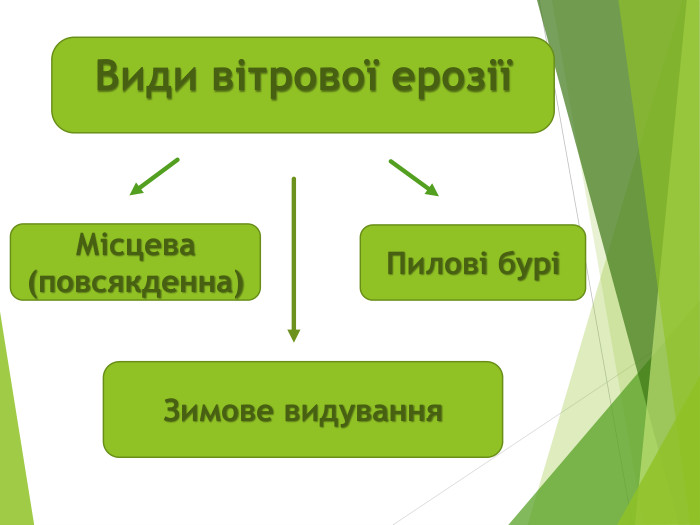 Види вітрової ерозіїМісцева (повсякденна)Пилові буріЗимове видування