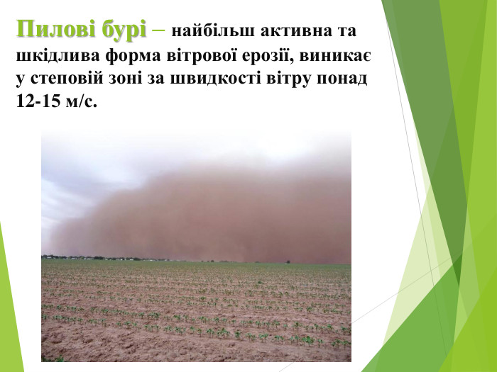 Пилові бурі – найбільш активна та шкідлива форма вітрової ерозії, виникає у степовій зоні за швидкості вітру понад 12-15 м/с.