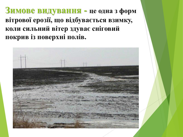 Зимове видування - це одна з форм вітрової ерозії, що відбувається взимку, коли сильний вітер здуває сніговий покрив із поверхні полів.