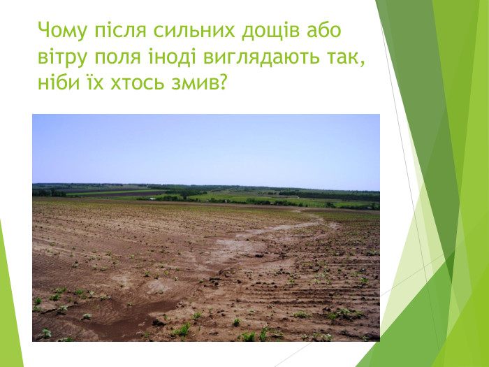 Чому після сильних дощів або вітру поля іноді виглядають так, ніби їх хтось змив?