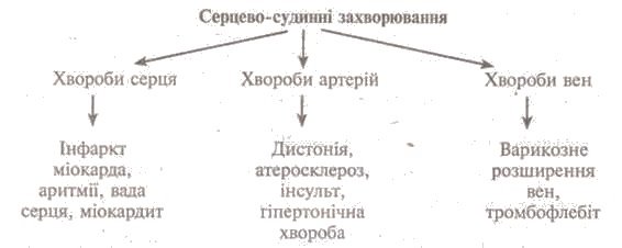 http://www.subject.com.ua/lesson/biology/9klas/9klas.files/image057.jpg