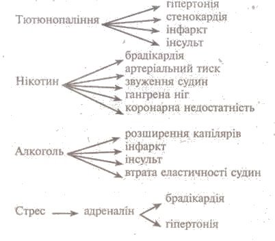http://www.subject.com.ua/lesson/biology/9klas/9klas.files/image058.jpg