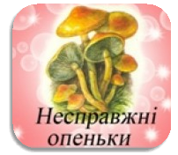 Обережно!Отруйні гриби та ягоди! | svetlachok