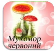 Обережно!Отруйні гриби та ягоди! | svetlachok