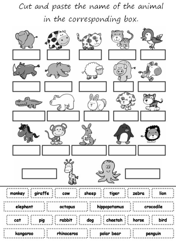Картинки по запросу картинки по теме животніе на английском для детей
