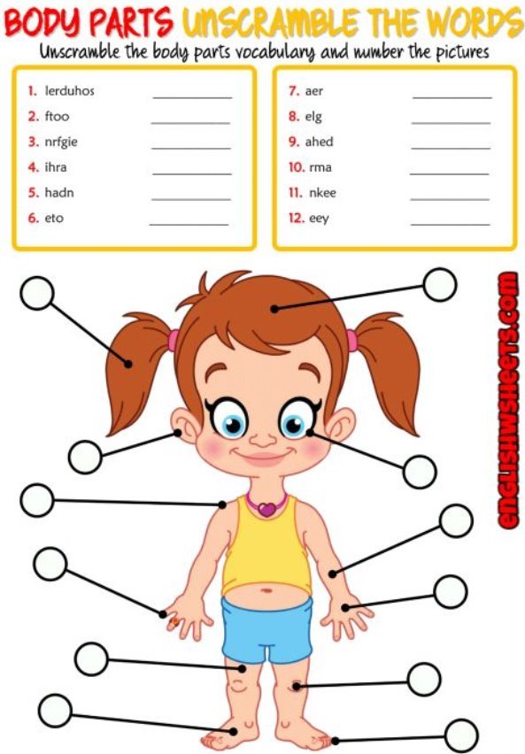 An enjoyable unscrambling the words ESL printable worksheet for kids to study and practise body parts vocabulary. Unscramble the body parts vocabulary and number the parts of the body on the picture. Simple and useful for teaching and learning body parts vocabulary.