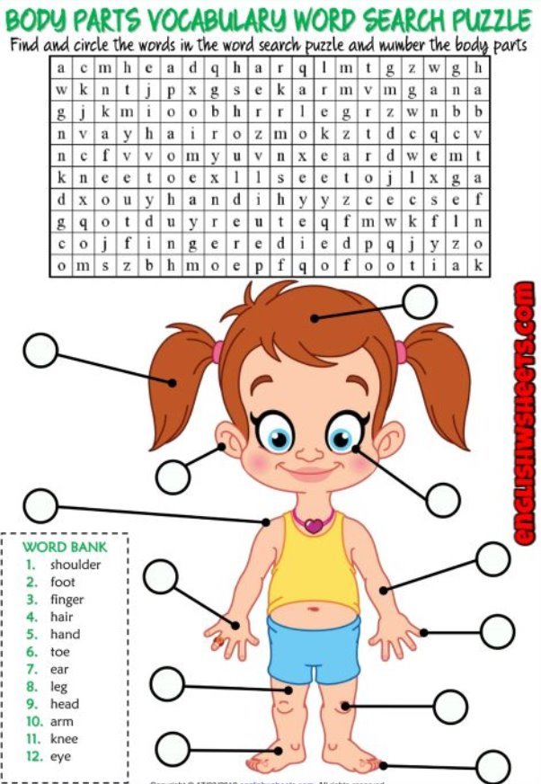 A fun ESL printable word search puzzle worksheet with a picture for kids to study and practise body parts vocabulary. Find and circle the body parts vocabulary in the word search puzzle and write the numbers on the picture. Effective for teaching and learning body parts vocabulary.