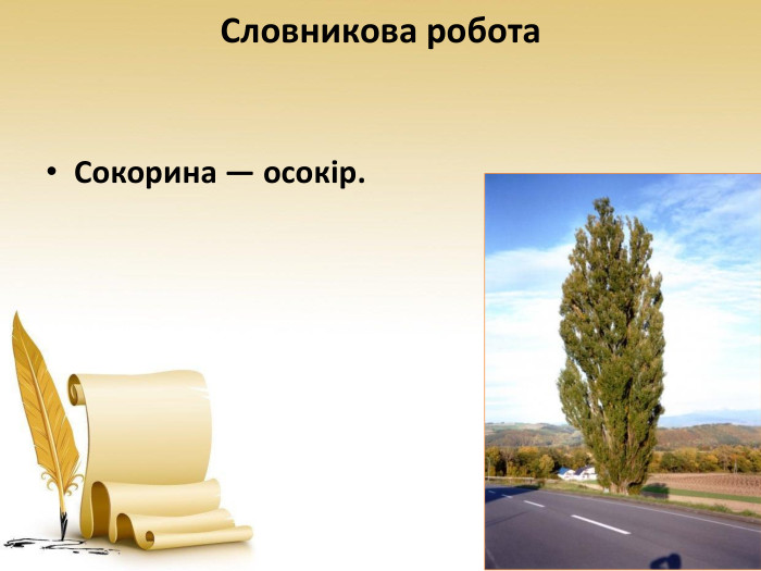 Словникова робота. Сокорина — осокір. 