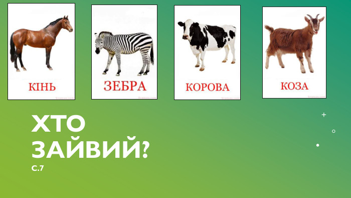 Хто зайвий?С.7