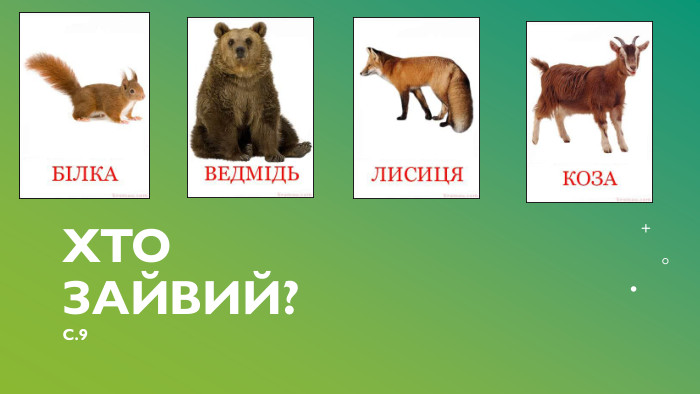 Хто зайвий?С.9