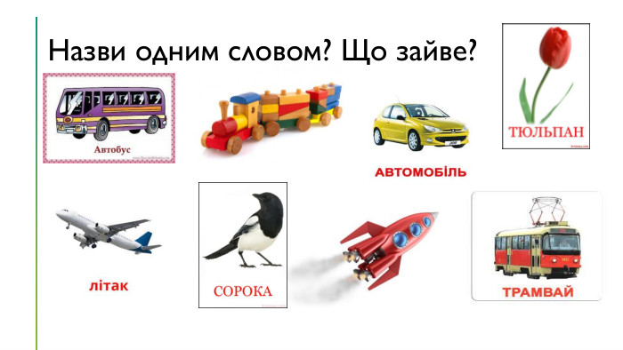 Назви одним словом? Що зайве?