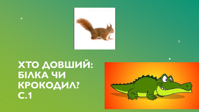 Хто довший: білка чи крокодил?С.1