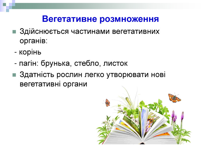 Реферат: Вегетативне розмноження рослин у природі та господарстві людини