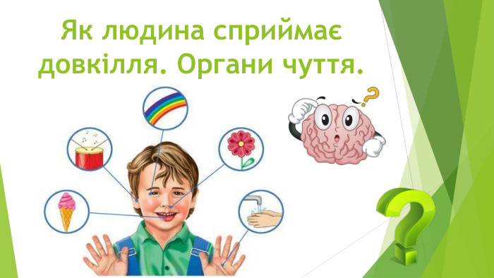 Як людина сприймає довкілля. Органи чуття.