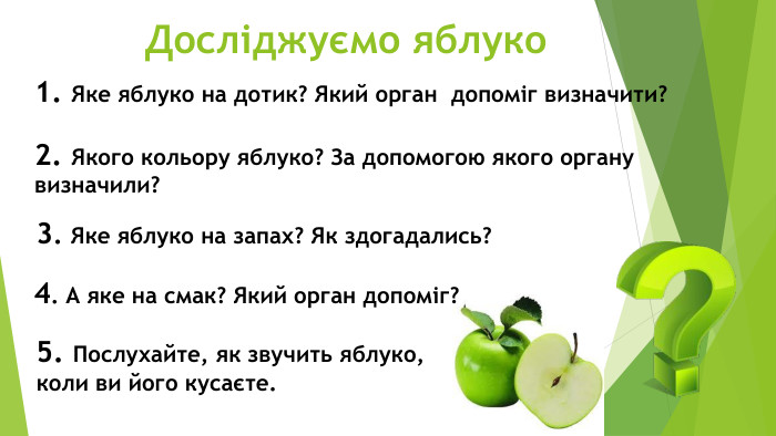  Досліджуємо яблуко1. Яке яблуко на дотик? Який орган допоміг визначити?2. Якого кольору яблуко? За допомогою якого органу визначили? 3. Яке яблуко на запах? Як здогадались?4. А яке на смак? Який орган допоміг?5. Послухайте, як звучить яблуко, коли ви його кусаєте.