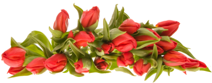 bouquet_PNG1