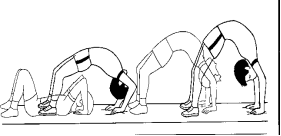 1 3 4 5 6 7 8 Комплекс вправ для уроків з гімнастики.