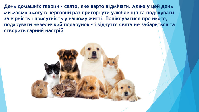 День домашніх тварин – свято, яке варто відмічати. Адже у цей день ми маємо змогу в черговий раз пригорнути улюбленця та подякувати за вірність і присутність у нашому житті. Попіклуватися про нього, подарувати невеличкий подарунок – і відчуття свята не забариться та створить гарний настрій