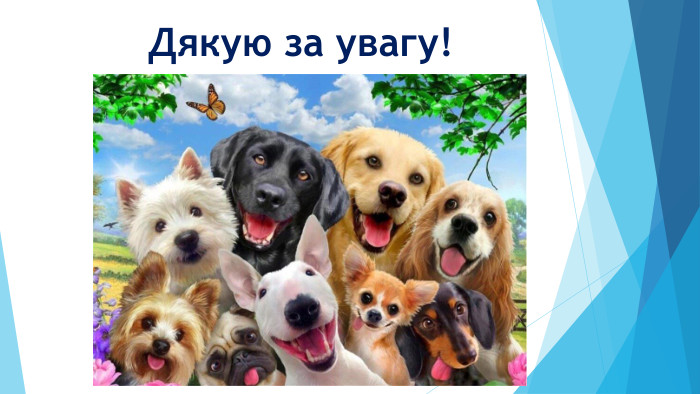  Дякую за увагу!