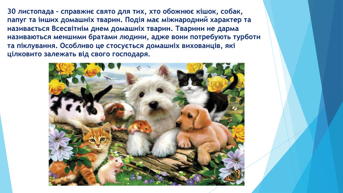 30 листопада – справжнє свято для тих, хто обожнює кішок, собак, папуг та інших домашніх тварин. Подія має міжнародний характер та називається Всесвітнім днем домашніх тварин. Тварини не дарма називаються меншими братами людини, адже вони потребують турботи та піклування. Особливо це стосується домашніх вихованців, які цілковито залежать від свого господаря.