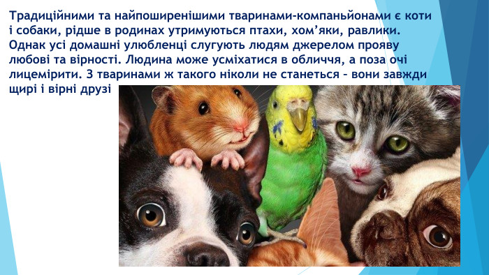 Традиційними та найпоширенішими тваринами-компаньйонами є коти і собаки, рідше в родинах утримуються птахи, хом’яки, равлики. Однак усі домашні улюбленці слугують людям джерелом прояву любові та вірності. Людина може усміхатися в обличчя, а поза очі лицемірити. З тваринами ж такого ніколи не станеться – вони завжди щирі і вірні друзі